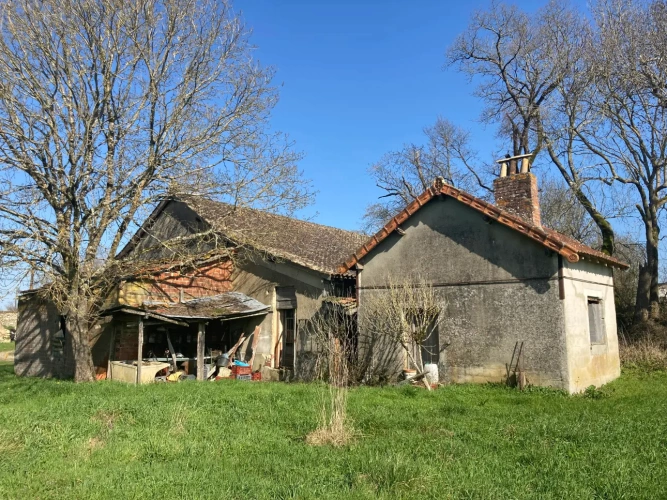 Photos 9 - Agricole - Vends corps de ferme en Dordogne - Sud-Est de Bergerac - 27ha d'un seul tenant dont 1 étang d'1ha
