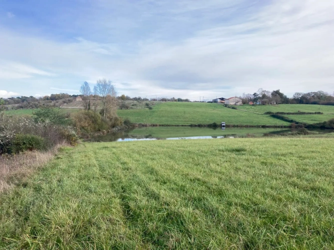 Photos 14 - Agricole - Vends corps de ferme en Dordogne - Sud-Est de Bergerac - 27ha d'un seul tenant dont 1 étang d'1ha