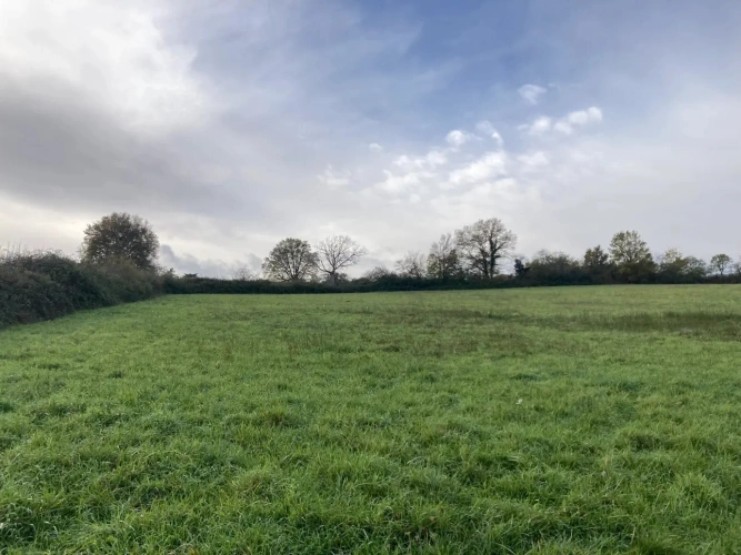 Photos 17 - Agricole - Vends corps de ferme en Dordogne - Sud-Est de Bergerac - 27ha d'un seul tenant dont 1 étang d'1ha