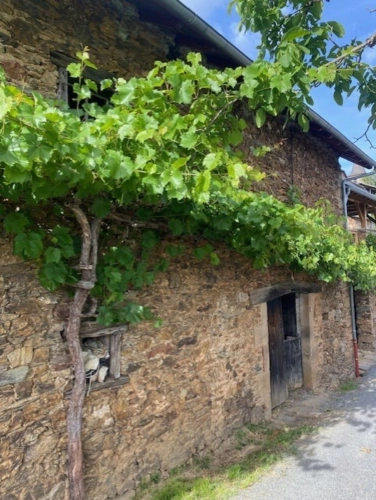 Photos 1 - Rurale - OPPORTUNITE: Grange à transformer  en partie rénovée à La Vinzelle (12)
