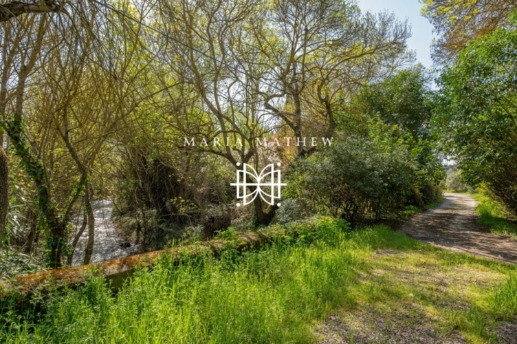 Photos 2 - Prestige - Bastide avec piscine et parc arboré - 1000 m2 - 2 hectares - AIX EN PROVENCE (13)