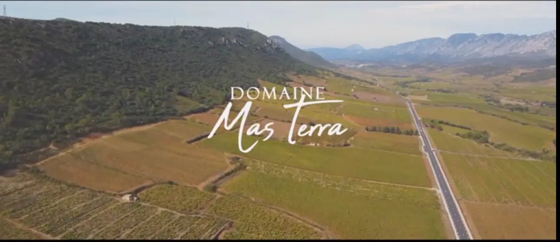 Photos 1 - Viticole - A vendre -DOMAINE VITICOLE MAS TERRA