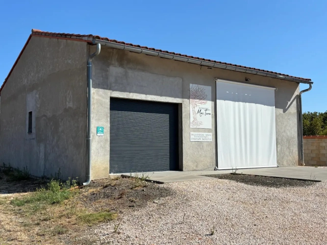 Photos 3 - Viticole - A vendre -DOMAINE VITICOLE MAS TERRA