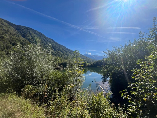 Photos 3 - Forestière - Lac privé à vendre  TANINGES (74)