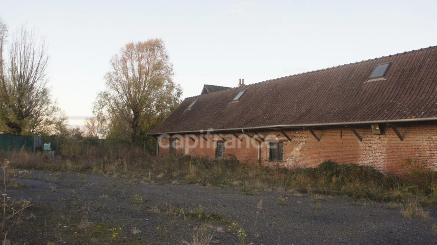 Photos 23 - Rurale - Local/bureau à vendre STEENWERCK (59) Corps de ferme au carré pour un usage mixte sur une parcelle de 27 474 m²