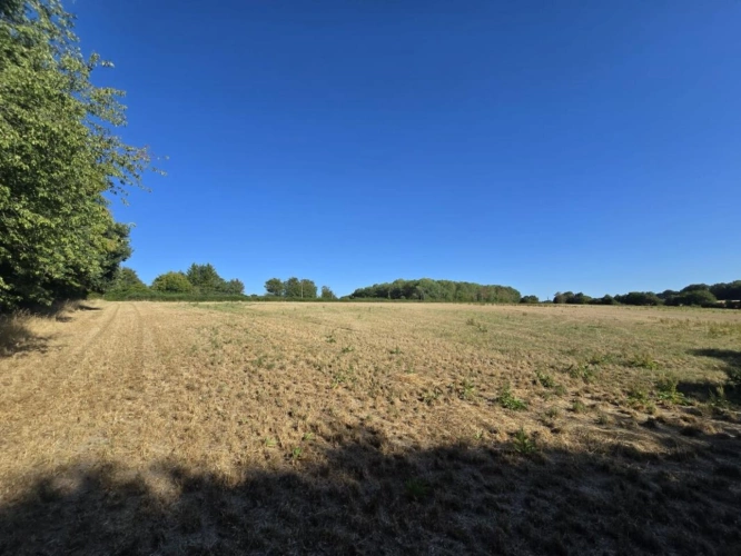 Photos 1 - Agricole - Ensemble foncier de 5 ha 78 a 43 ca   Cernoy-en-Berry