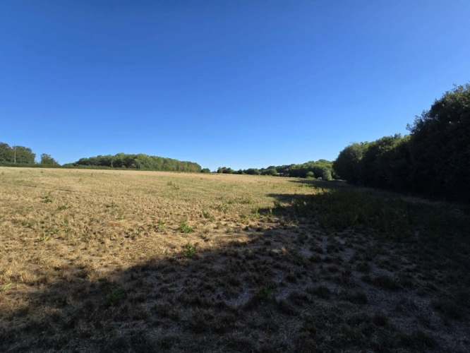 Photos 2 - Agricole - Ensemble foncier de 5 ha 78 a 43 ca   Cernoy-en-Berry