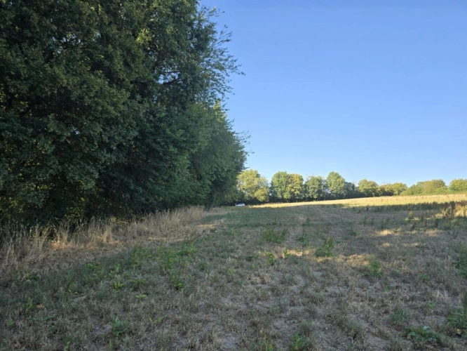 Photos 4 - Agricole - Ensemble foncier de 5 ha 78 a 43 ca   Cernoy-en-Berry