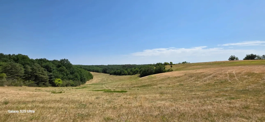 Photos 1 - Forestière - Propriété clôture de 116 ha avec habitation et dépendances