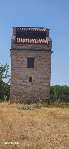 Photos 2 - Forestière - Propriété clôture de 116 ha avec habitation et dépendances