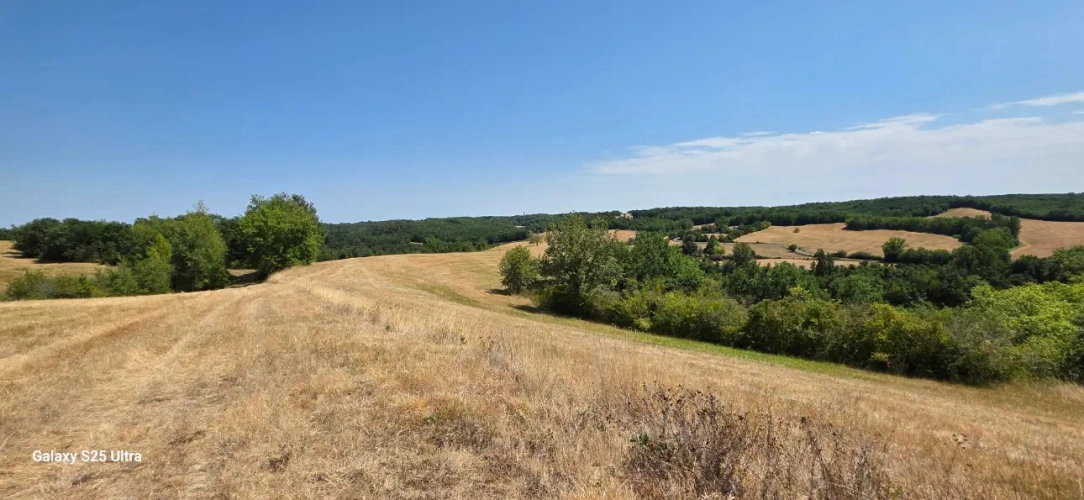 Photos 3 - Forestière - Propriété clôture de 116 ha avec habitation et dépendances