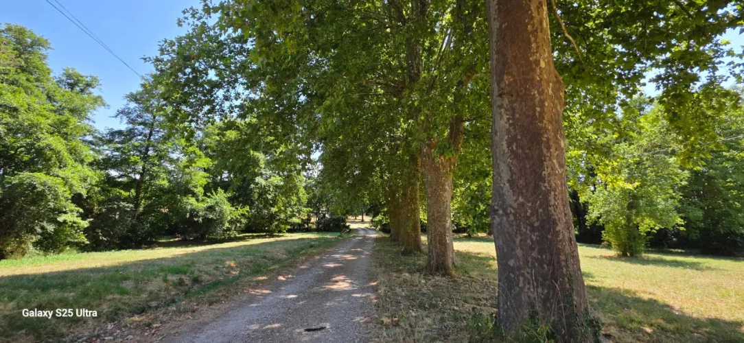 Photos 6 - Forestière - Propriété clôture de 116 ha avec habitation et dépendances