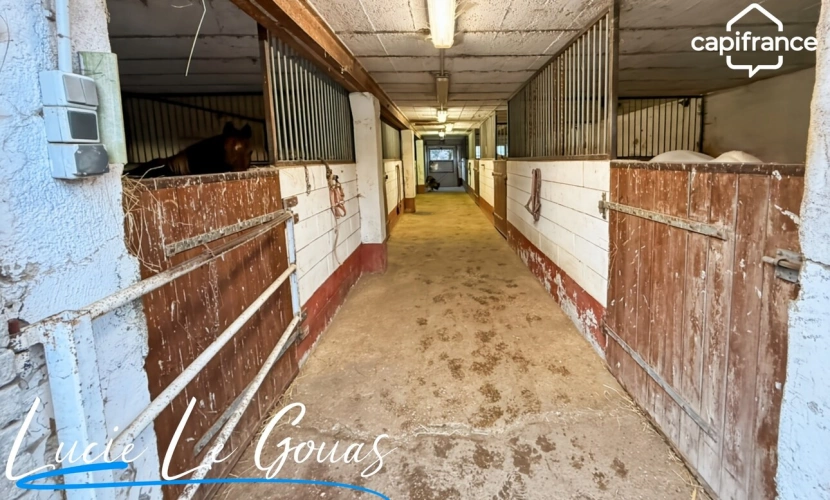 Photos 27 - Équestre - Ferme équestre