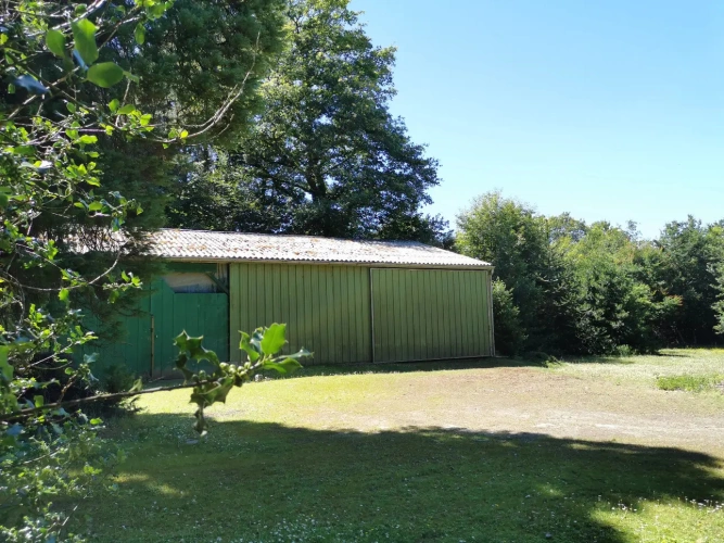 Photos 2 - Rurale - Terrain de loisirs avec étang