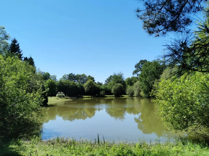 Photos 3 - Rurale - Terrain de loisirs avec étang