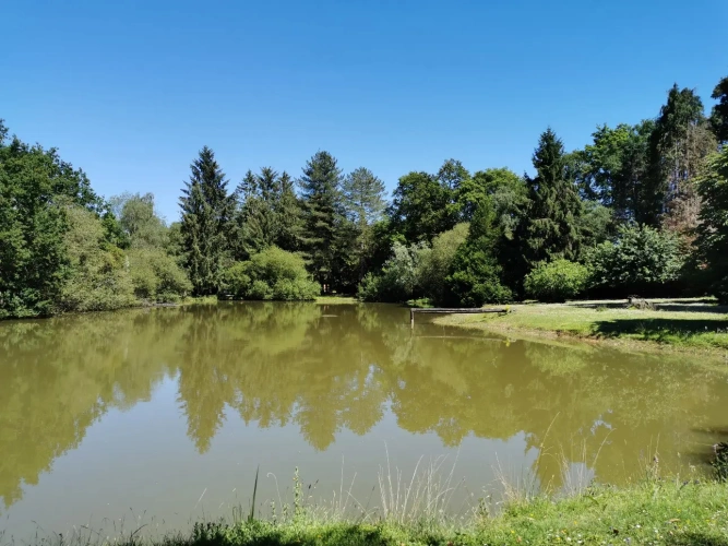 Photos 6 - Rurale - Terrain de loisirs avec étang