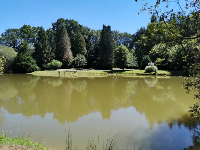 Photos 7 - Rurale - Terrain de loisirs avec étang