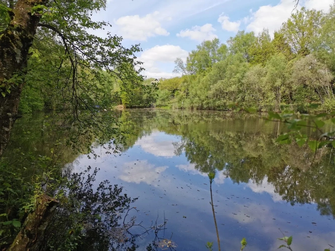 Photos 2 - Rurale - Etang et bois