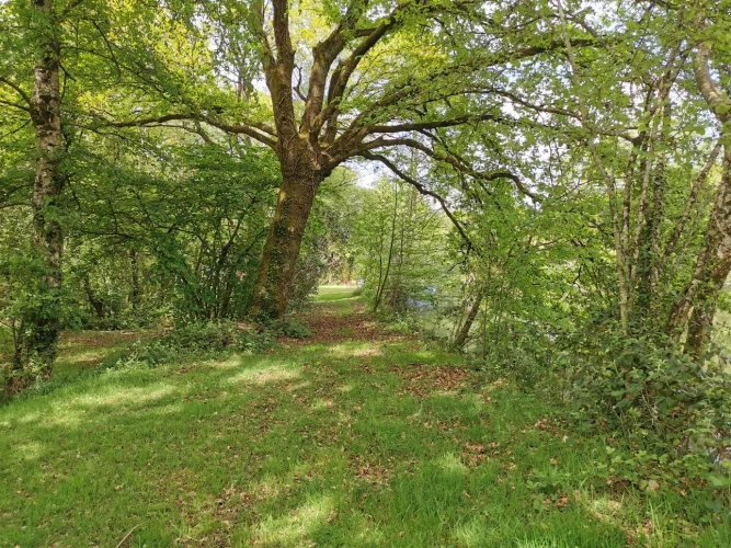 Photos 3 - Rurale - Etang et bois