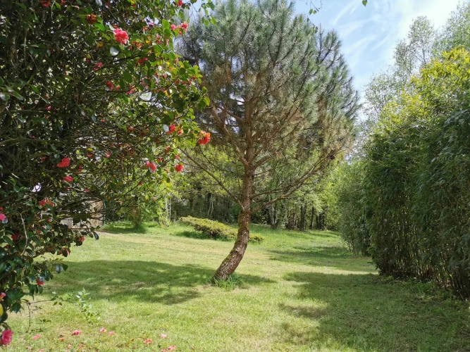 Photos 5 - Rurale - Etang et bois