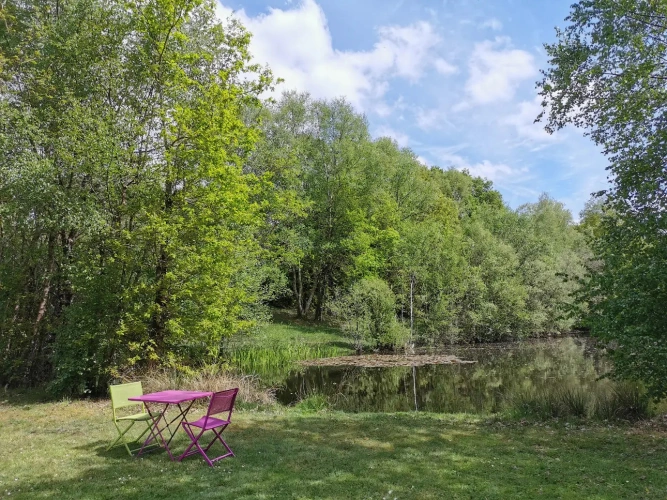 Photos 6 - Rurale - Etang et bois