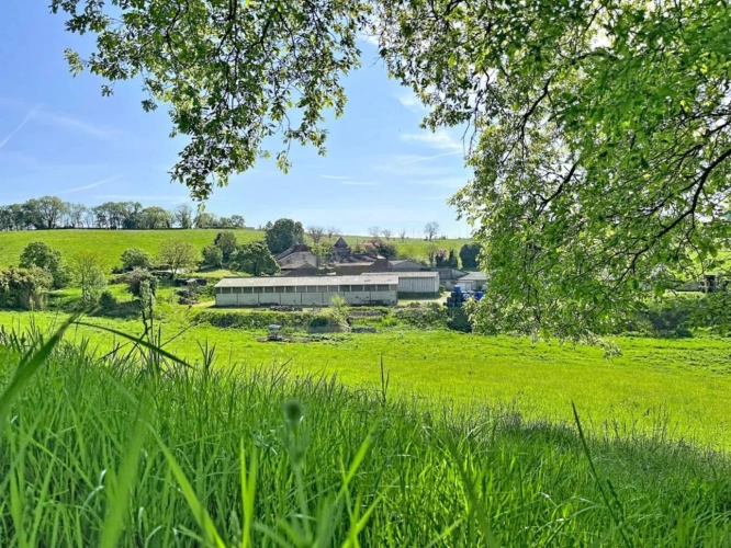Photos 1 - Agricole - Bovine