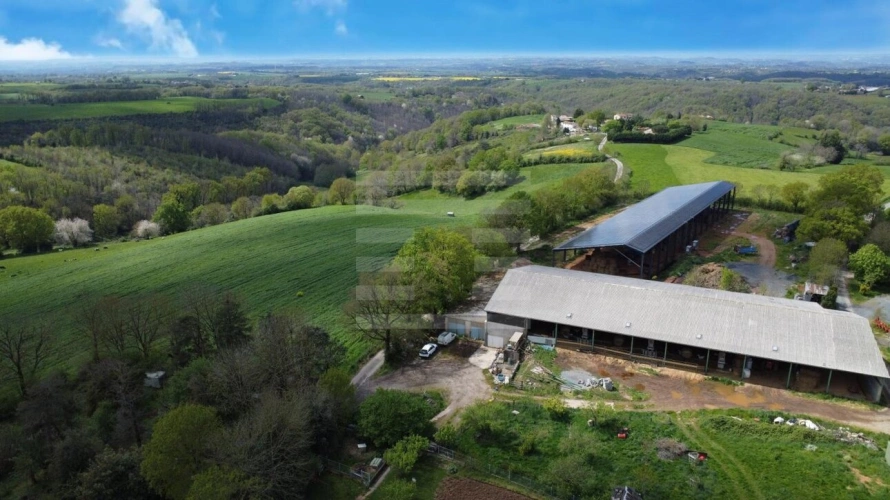 Photos 2 - Agricole - Ovins / Caprins