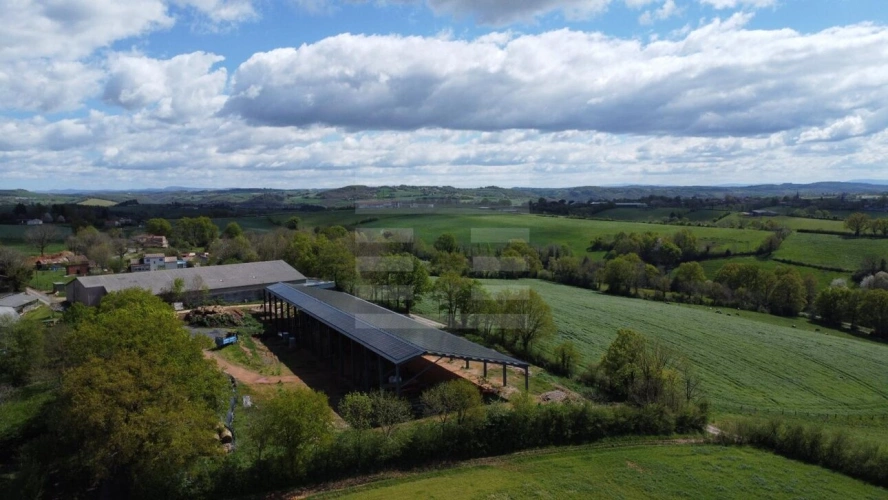 Photos 4 - Agricole - Ovins / Caprins