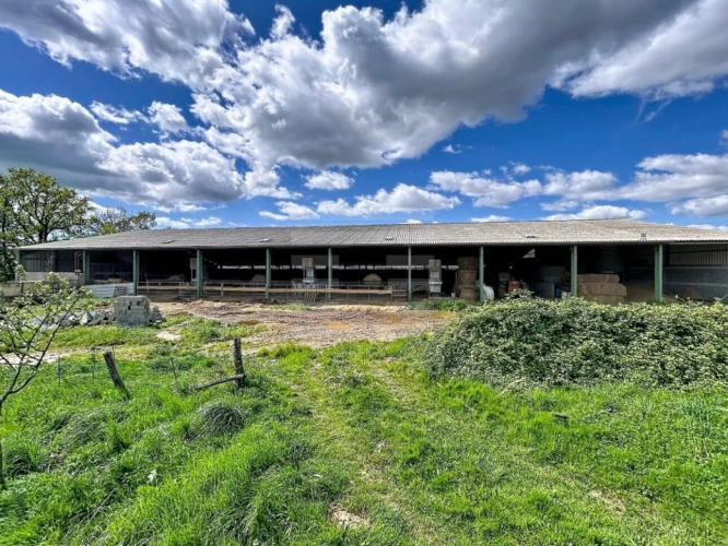 Photos 5 - Agricole - Ovins / Caprins