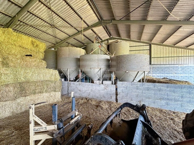 Photos 7 - Agricole - Ovins / Caprins