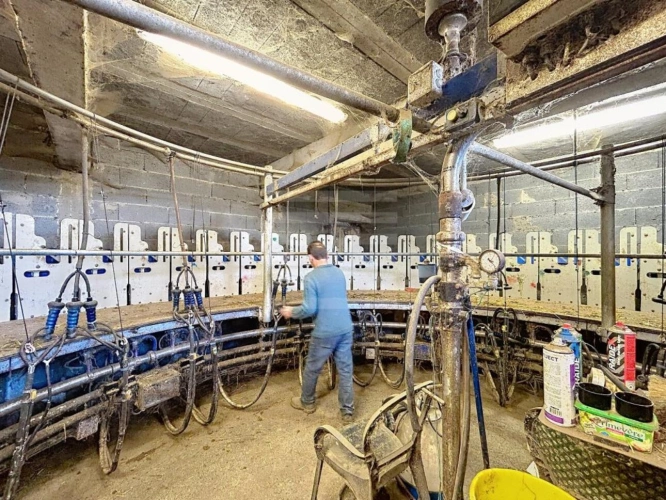 Photos 9 - Agricole - Ovins / Caprins