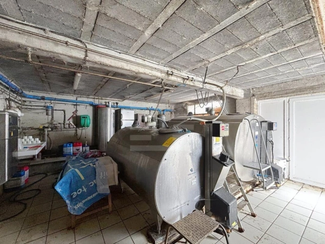 Photos 10 - Agricole - Ovins / Caprins