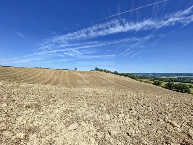 Photos 2 - Agricole - Terrain agricole