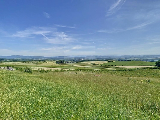 Photos 12 - Agricole - Propriété viticole