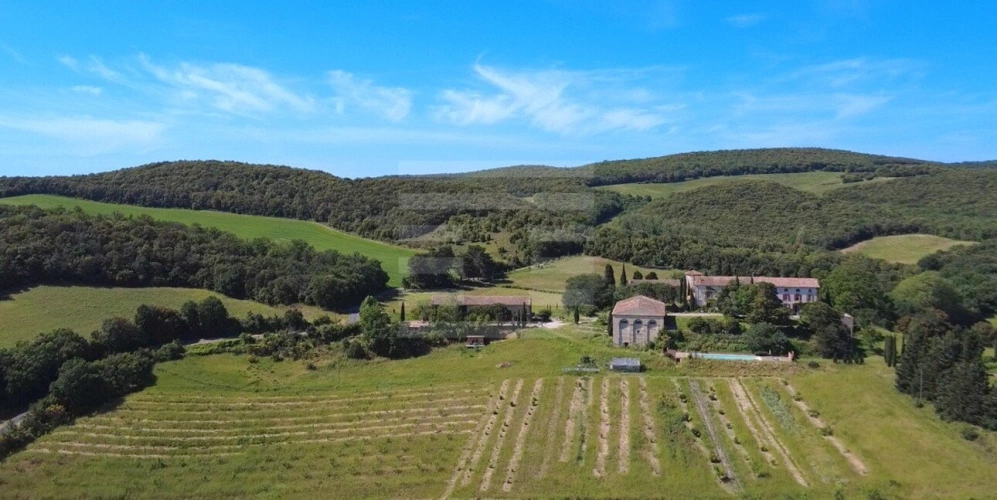 Photos 13 - Agricole - Propriété viticole