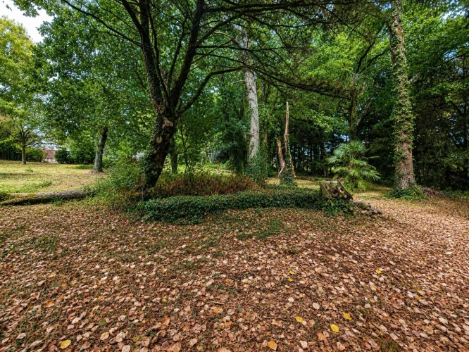 Photos 28 - Rurale - LE TREVOUX - Propriété en pierre avec maison principale, gîte indépendant et dépendances sur près d’un hectare