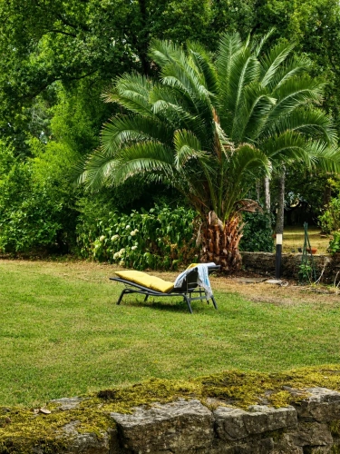 Photos 29 - Rurale - LE TREVOUX - Propriété en pierre avec maison principale, gîte indépendant et dépendances sur près d’un hectare