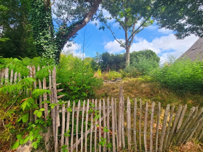 Photos 32 - Rurale - LE TREVOUX - Propriété en pierre avec maison principale, gîte indépendant et dépendances sur près d’un hectare