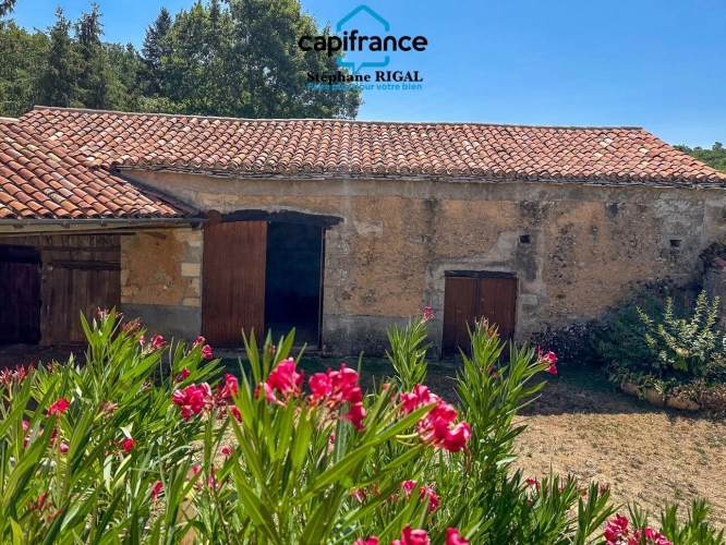 Photos 2 - Rural - 3-room property for sale in SAINT FRONT SUR LEMANCE (47)