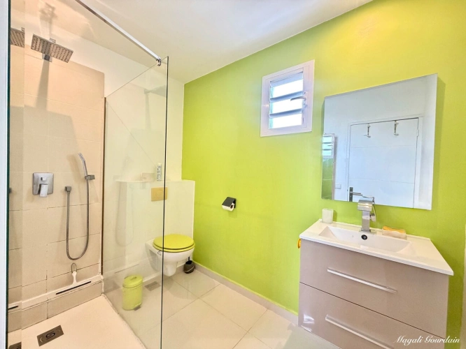 Photos 8 - Prestige - A VENDRE – SAINT-FRANÇOIS – VILLA AVEC PISCINE, GÎTE INDÉPENDANT ET AUTONOMIE ÉLECTRIQUE