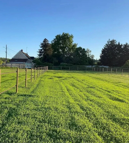 Photos 2 - Equestrian - Complete equestrian tool less than 30 minutes from Paris