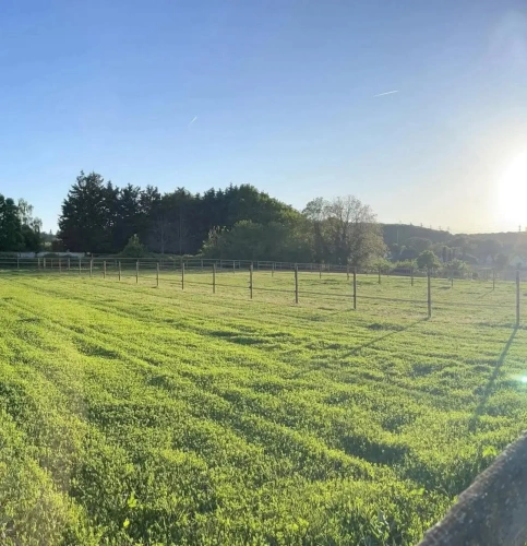 Photos 3 - Equestrian - Complete equestrian tool less than 30 minutes from Paris