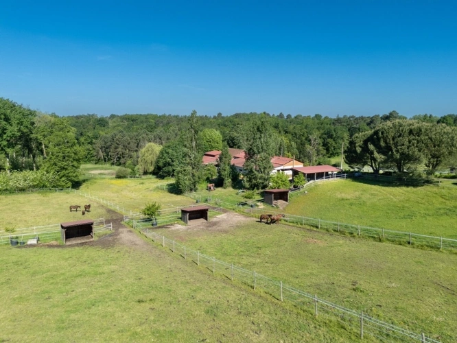 Photos 36 - Prestige - Dpt Dordogne (24), à vendre BERGERAC propriété P7 - terrain de 87000 m2