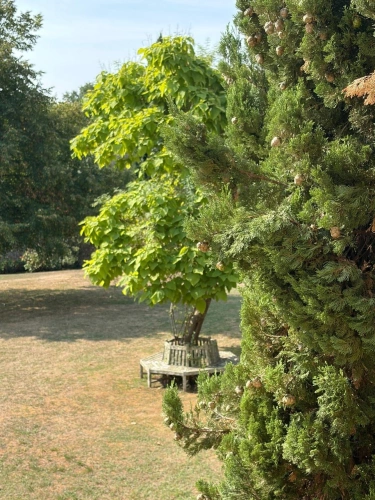 Photos 69 - Prestige - PLAISANCE DU GERS(32): élégante PROPRIETE DE CHARME et de CARACTERE XVIII-XIXs, 3,5hectares, près de Plaisance et Marciac, SANS TRAVAUX, sans vis à vis, au calme , VUE sur les coteaux, piscine