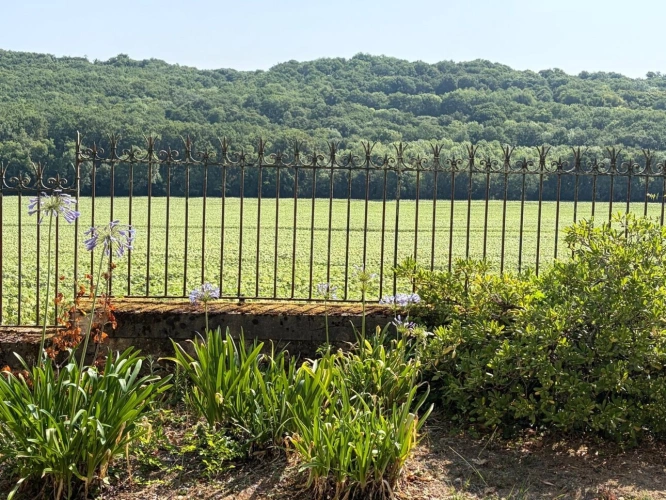 Photos 96 - Prestige - PLAISANCE DU GERS(32): élégante PROPRIETE DE CHARME et de CARACTERE XVIII-XIXs, 3,5hectares, près de Plaisance et Marciac, SANS TRAVAUX, sans vis à vis, au calme , VUE sur les coteaux, piscine