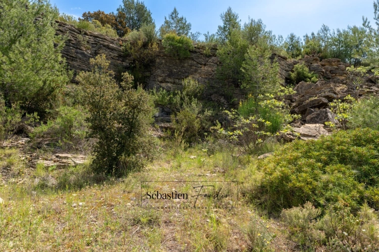 Photos 5 - Agricole - Terrain Agricole à vendre (83) - Vue panoramique - Accès facile - Alimentée par le canal de Provence