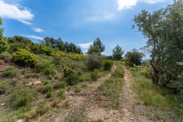 Photos 6 - Agricole - Terrain Agricole à vendre (83) - Vue panoramique - Accès facile - Alimentée par le canal de Provence