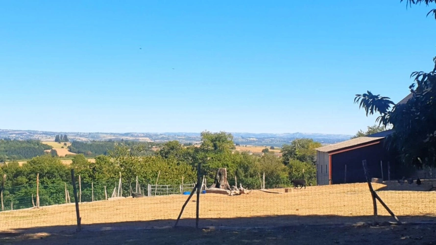 Photos 22 - Prestige - Propriété de caractère rénovée avec nombreuses dépendances, 1,9 ha de terrain. Idéal projet agricole ou touristique