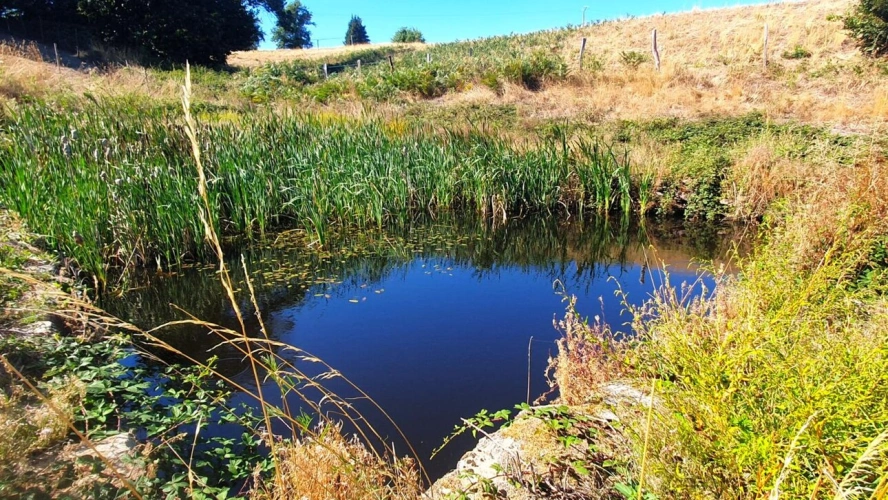Photos 21 - Rurale - Propriété de caractère rénovée avec nombreuses dépendances, 1,9 ha de terrain. Idéal projet agricole ou touristique
