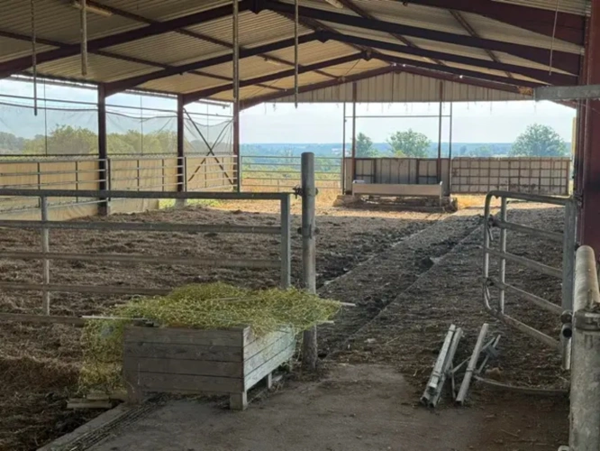 Photos 2 - Agricole - Exploitation agricole isolée d’un seul tenant